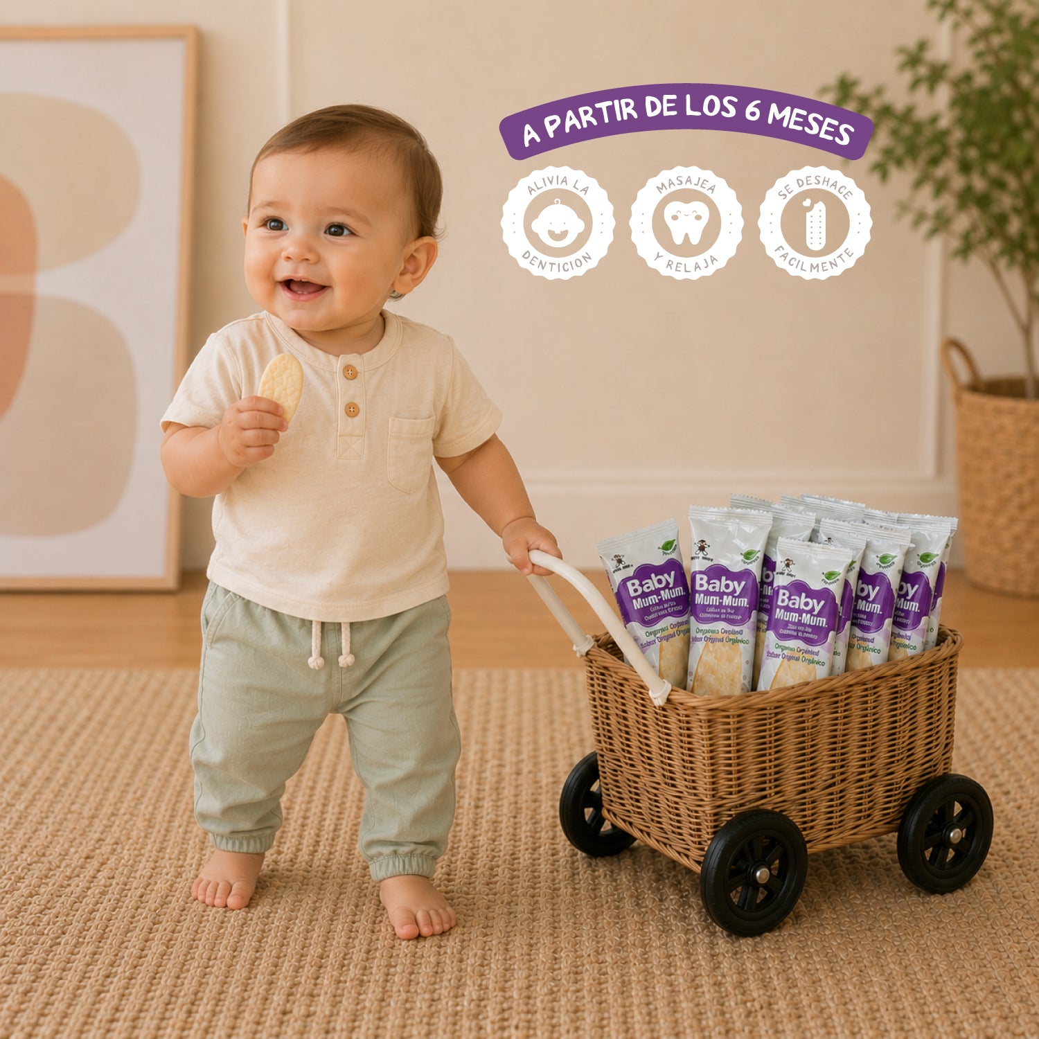 Galleta Baby Mum-Mum Orgánica sabor Original 50 gr