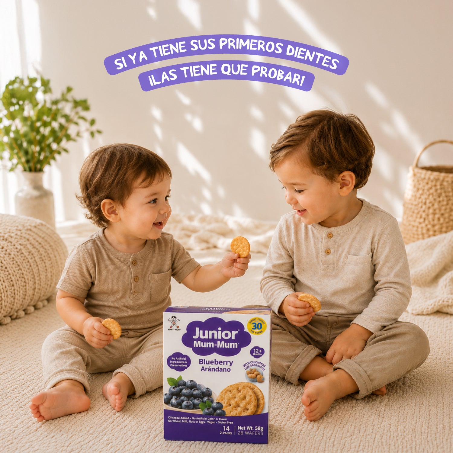 Galleta Junior Mum-Mum sabor Arándano 58 gr