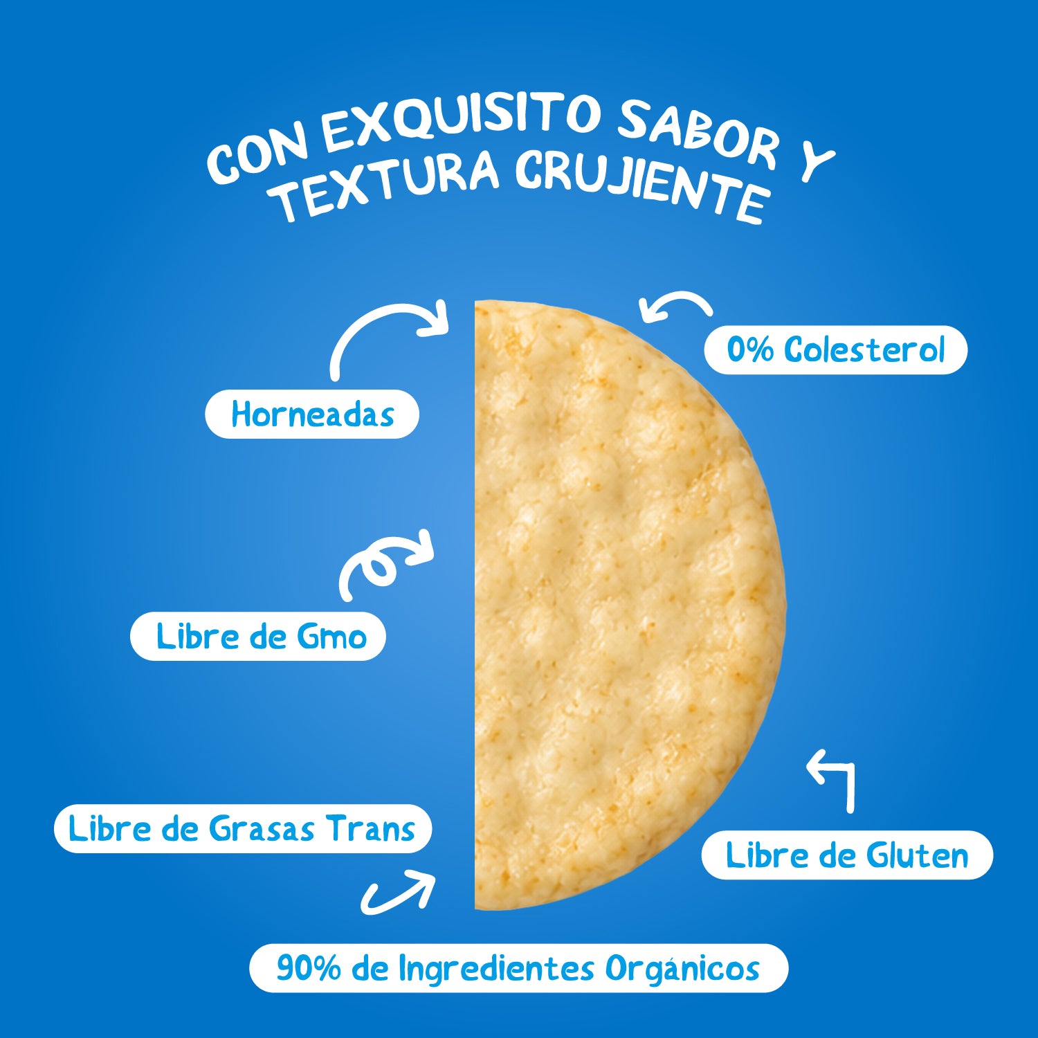 Galleta de arroz Rice Crisps sabor Sal de Mar 100 gr
